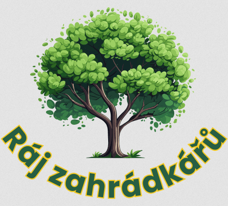 Partner 2